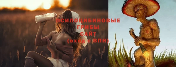 СК Алексин
