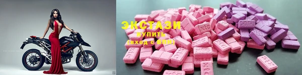 СК Алексин