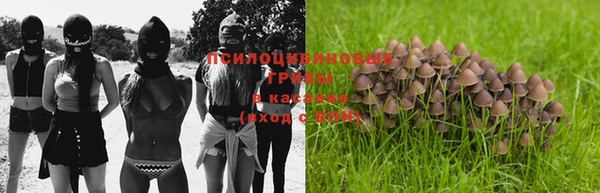 марки lsd Алзамай