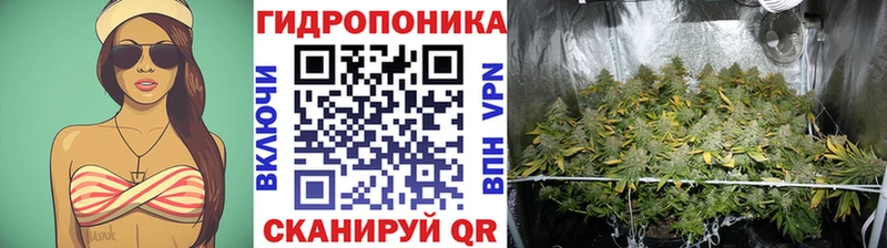 Бошки Шишки семена  Солигалич 